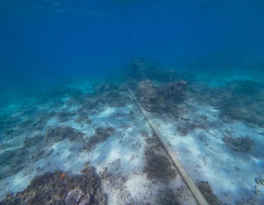 Miniatura: Awaria kluczowego kabla na Bałtyku. Pilny...