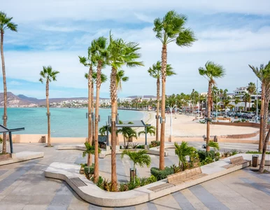 Miniatura: Prawie 100 złotych podatku. Tyle zapłacą...