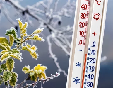 Miniatura: Takie będą święta Bożego Narodzenia....