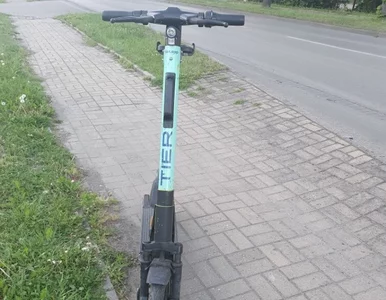 Miniatura: Mocny początek sezonu. Elektryczna...
