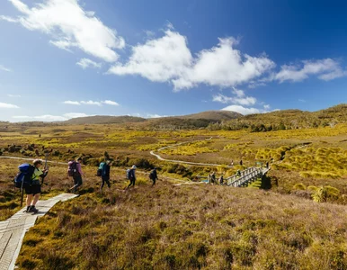 Miniatura: Fala hejtu na biuro podróży. Sztuczna...