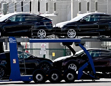 Miniatura: Elon Musk zdradził nowe ambicje. Chodzi o...