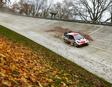 Miniatura: Toyota z kompletem tytułów w rajdowych...
