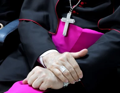 Miniatura: Bp Dec może stracić ważny tytuł. „Szkodzi...