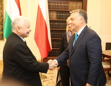 Miniatura: Orban chce przyjechać do Polski. Jest nowy...