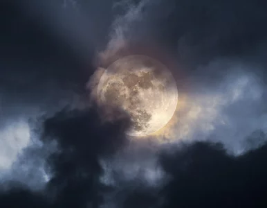 Miniatura: Niecodzienny duet na nocnym nieboskłonie....