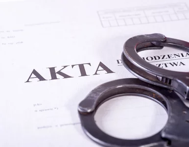 Miniatura: Wnuk Lecha Wałęsy trafi do więzienia. Sąd...