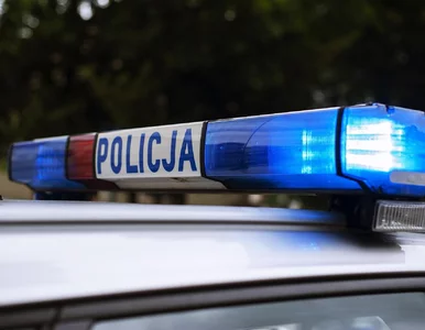 Miniatura: Dzień po dniu umierali w podobnych...