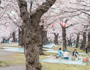 Miniatura: Na ten festiwal w marcu wielu czekało....