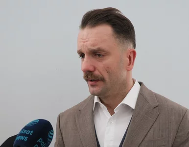 Miniatura: Immunitet posła Mejzy. Policja podała nowe...
