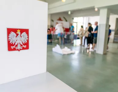 Miniatura: Gibała przejmie wyborców PiS i...