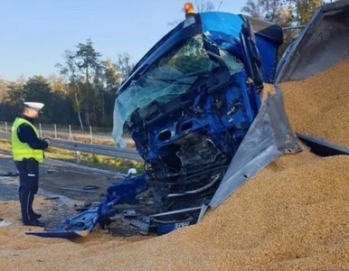 Miniatura: Zderzenie trzech ciężarówek na S17....