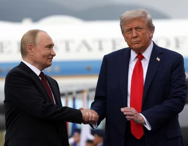 Miniatura: Pilny komunikat z USA. Zawarto...