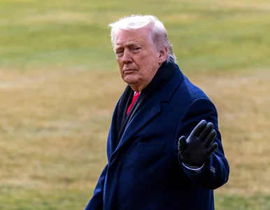 Miniatura: Trump zabrał głos ws. Grenlandii. „Teraz...