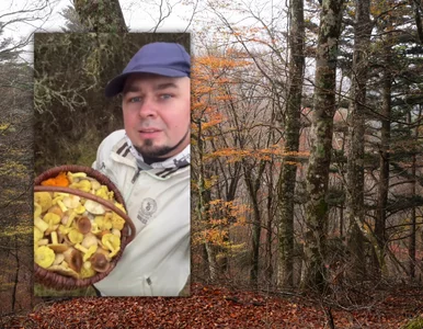 Miniatura: Wrócił z lasu z koszem pełnym grzybów....