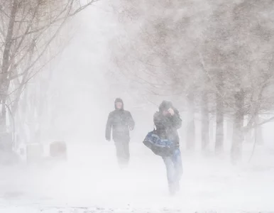 Miniatura: Śnieżne zamiecie i dramatyczne warunki na...