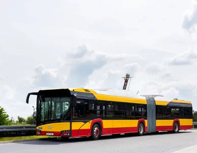 Miniatura: Autobusy elektryczne na zakręcie? W...