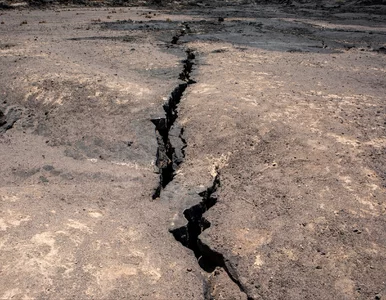 Miniatura: Przez miliony lat czekają na swój moment....