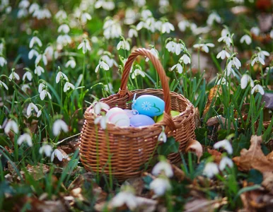 Miniatura: Wymarzona pogoda na Wielkanoc nie potrwa...