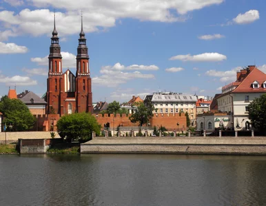 Miniatura: Ostatnia taka promocja w tym roku. Ze...