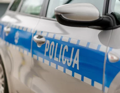 Miniatura: Kolizja na parkingu. Sprawcą okazał się...