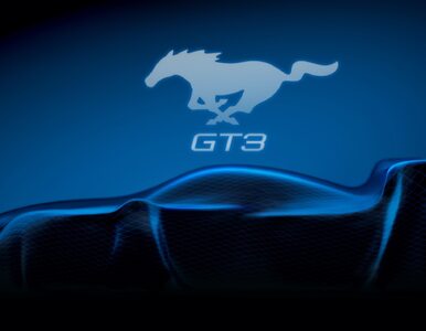 Miniatura: Będzie wyścigowy Ford Mustang GT3! Znamy...