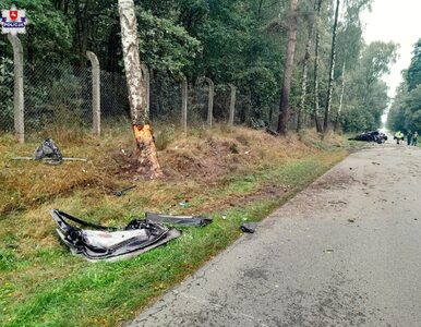 Tragiczny wypadek w Ułężu. Kierowca uderzył w drzewo i wypadł z auta