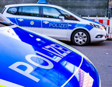 Miniatura: Groźny transport z Polski przechwycony w...