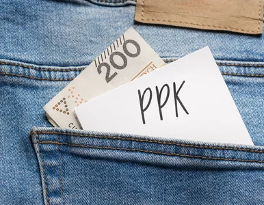 Miniatura: PPK: 250 zł dla nowych uczestników....
