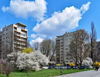 Miniatura: Makabryczna historia z Nowej Huty. Syn...