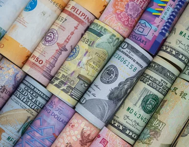 Miniatura: Kursy walut 6 listopada 2025. Po ile...