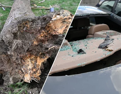 Miniatura: Przez Polskę przetoczyła się wichura....