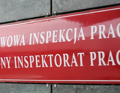 Miniatura: O tych strajkach było głośno w Niemczech....