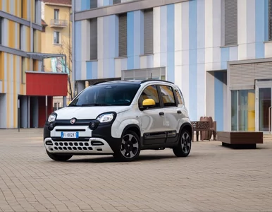 Miniatura: Jeszcze Panda nie zginęła. Optymistyczne...