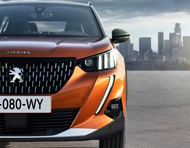 Miniatura: Król lew 2. Nowy Peugeot 2008 ma szansę...