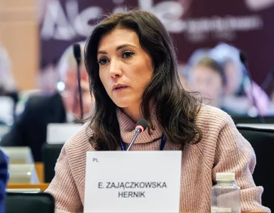 Miniatura: Zajączkowska-Hernik straciła funkcję...
