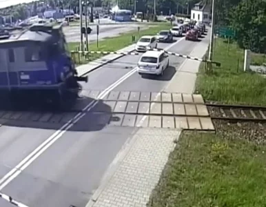 Miniatura: Krokodylki porozumiały się z sokistami....