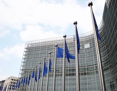 Miniatura: Unia Europejska da 600 milionów. W planie...