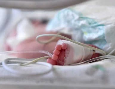 Miniatura: Nie żyje trzymiesięczne niemowlę. Ciało...