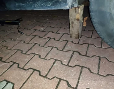 Miniatura: Złodziej uczył złodzieja, jak wycinać...