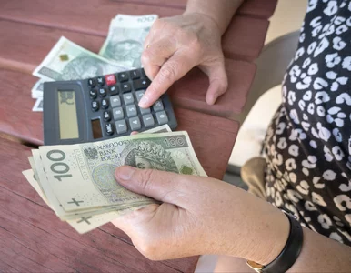 Miniatura: Renta wdowia mocno w górę od 2027 r. Jest...