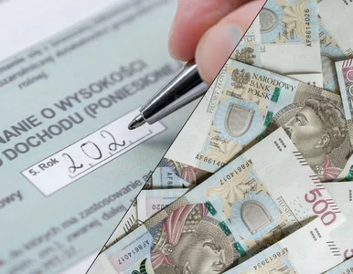 Miniatura: Strach górą. Polacy nie wykorzystują ulg...