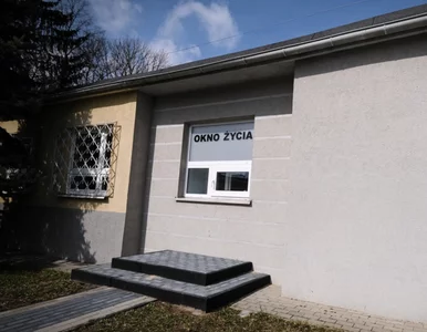 Miniatura: Dziewczynka w oknie życia w Białymstoku....