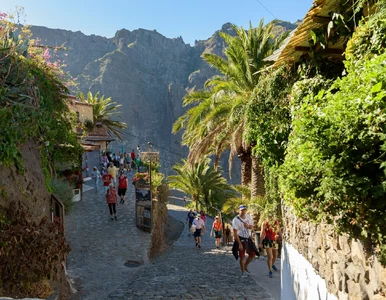 Miniatura: Groźny komar na wakacyjnej wyspie. Służby...