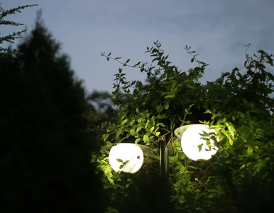 Miniatura: Ciemna strona darmowego światła. Lampy...
