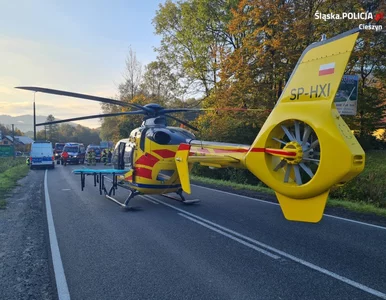 Miniatura: Tragedia na przejściu dla pieszych w...