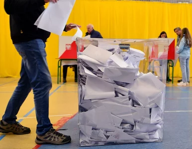 Miniatura: Najnowszy sondaż partyjny. Oni mogą...