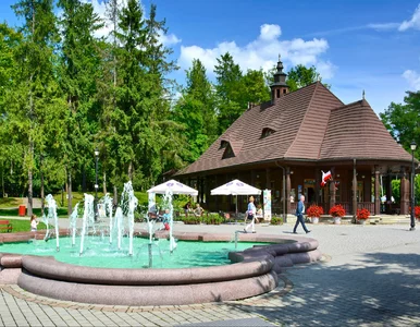 Miniatura: W tym polskim uzdrowisku ulice nie mają...