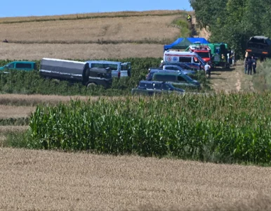 Miniatura: Co spadło pod Tarnawą-Kolonią? Nowe...
