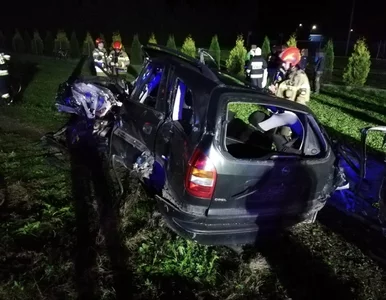 Miniatura: Zderzenie auta z pociągiem na Podkarpaciu....